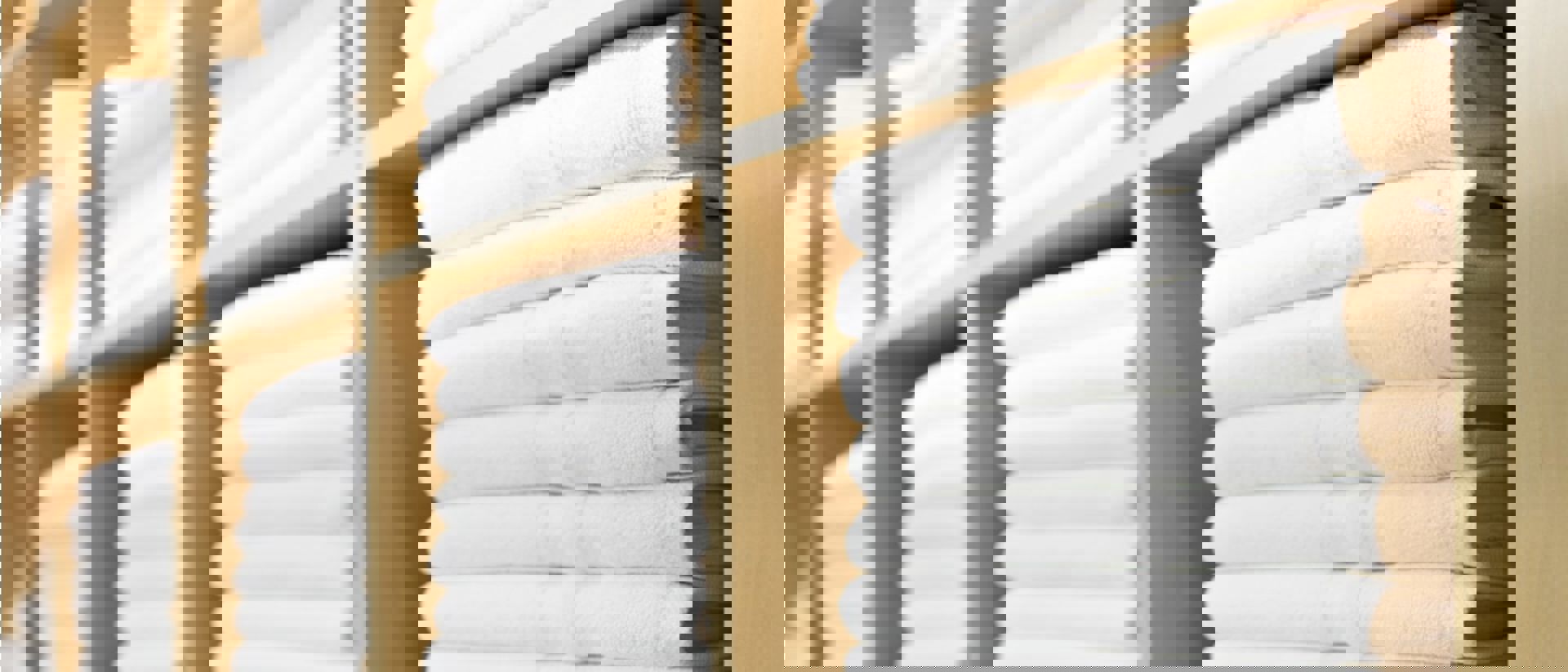 Salon Banner